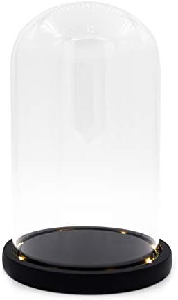 Nynelly 3.5 D x X 4.7 H כיפת זכוכית ברורה קלוש עם בסיס נורות LED שחור, קישוט צנצנת תצוגת זכוכית